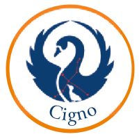 Cigno