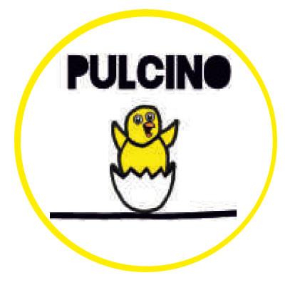 Pulcino